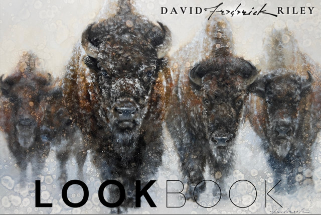 Welcome! You’re In. Download My Lookbook Below.