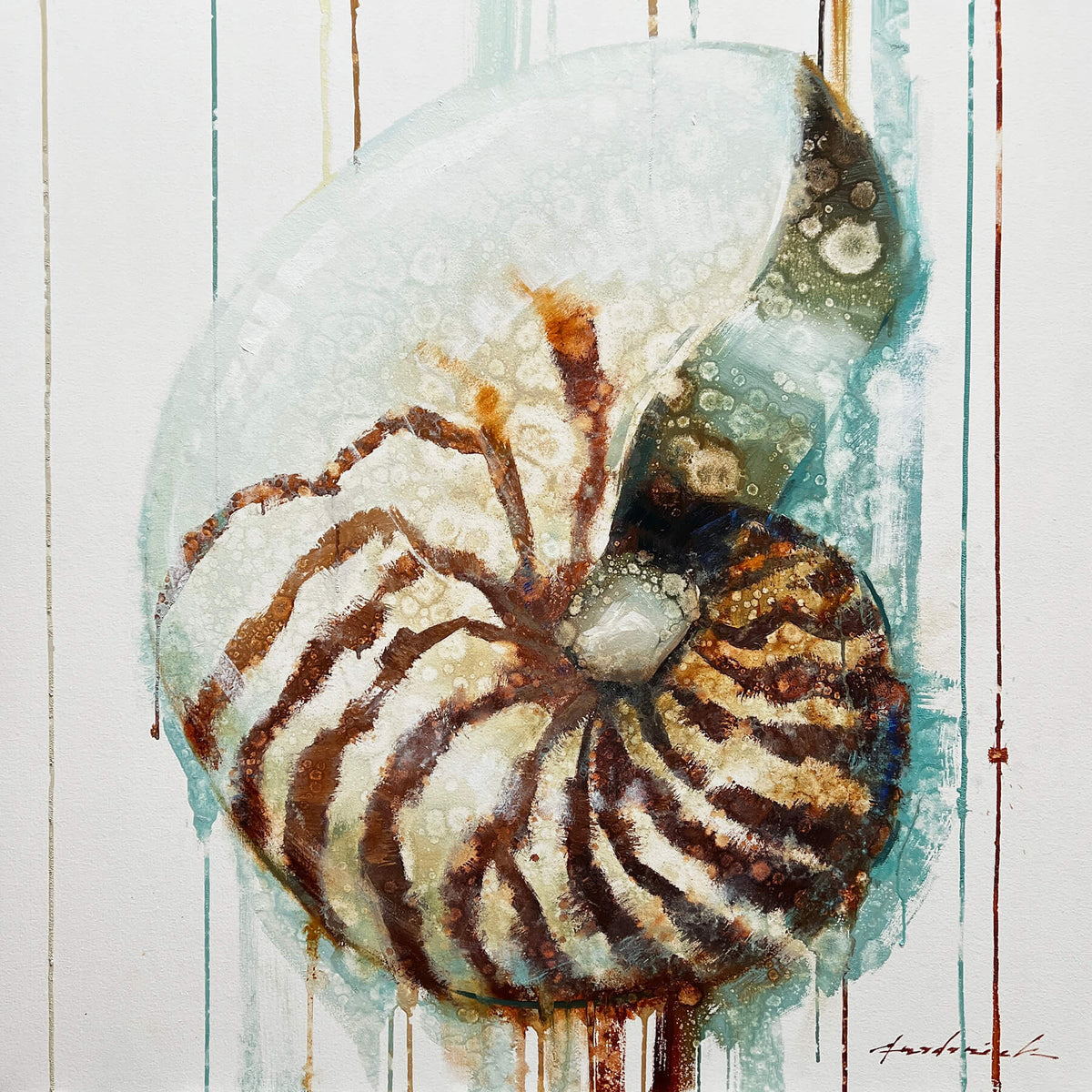 Artistic depiction of a nautilus shell with a white background