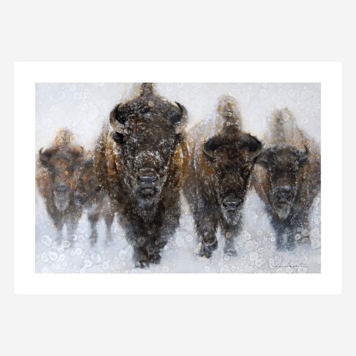 Bison in snow painting by David Riley